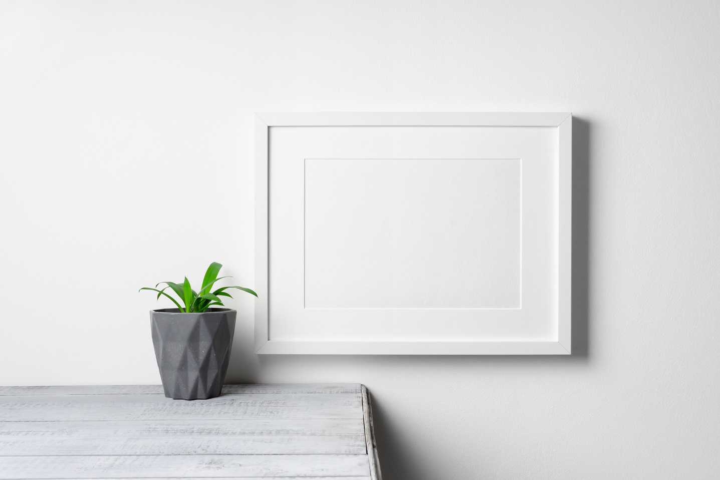 Blank art frame mockup with home plant